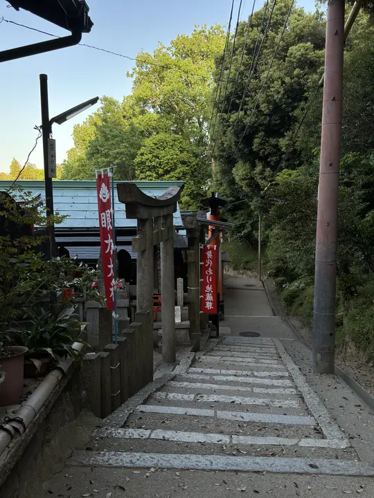 Stone steps up a wooded shrine path