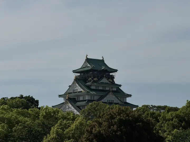 Castle above the treetops