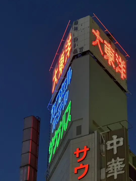 Neon kanji on a building at night