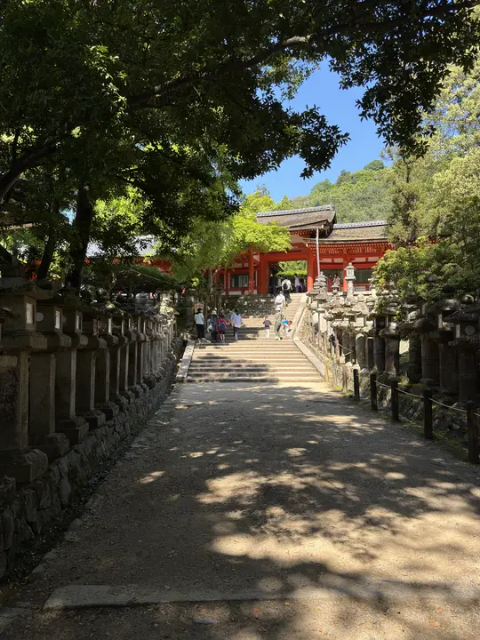 Shaded path to a shrine