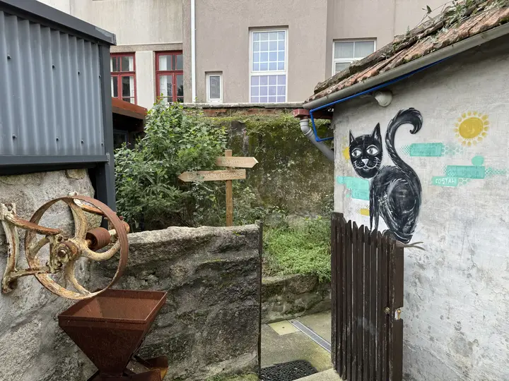 Cat mural in a small yard