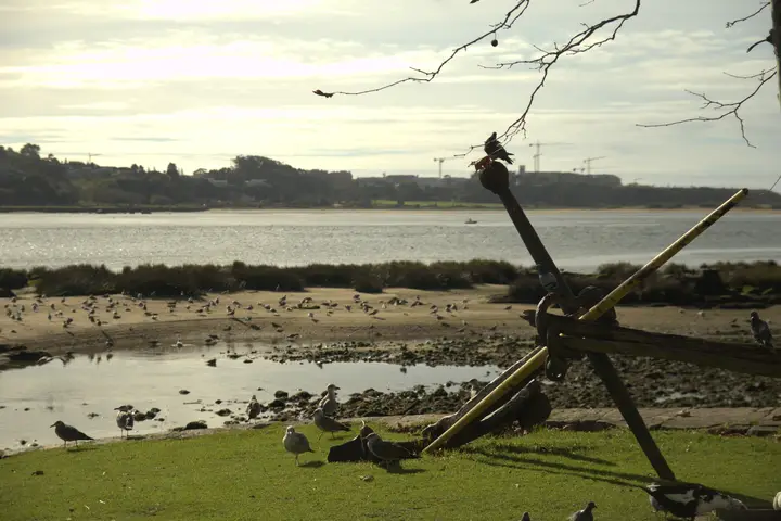 Old anchor on the grass by the river